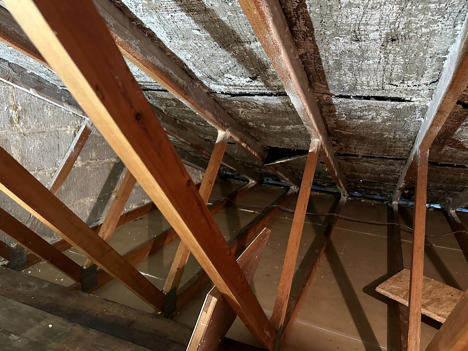 Open-Cell Spray Foam Removal — Highgate, London & Manchester 1