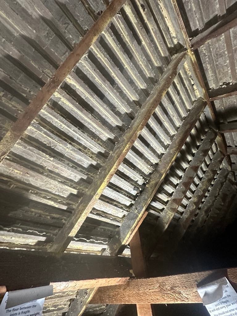 Closed-Cell Spray Foam Removal — Croydon, London 1