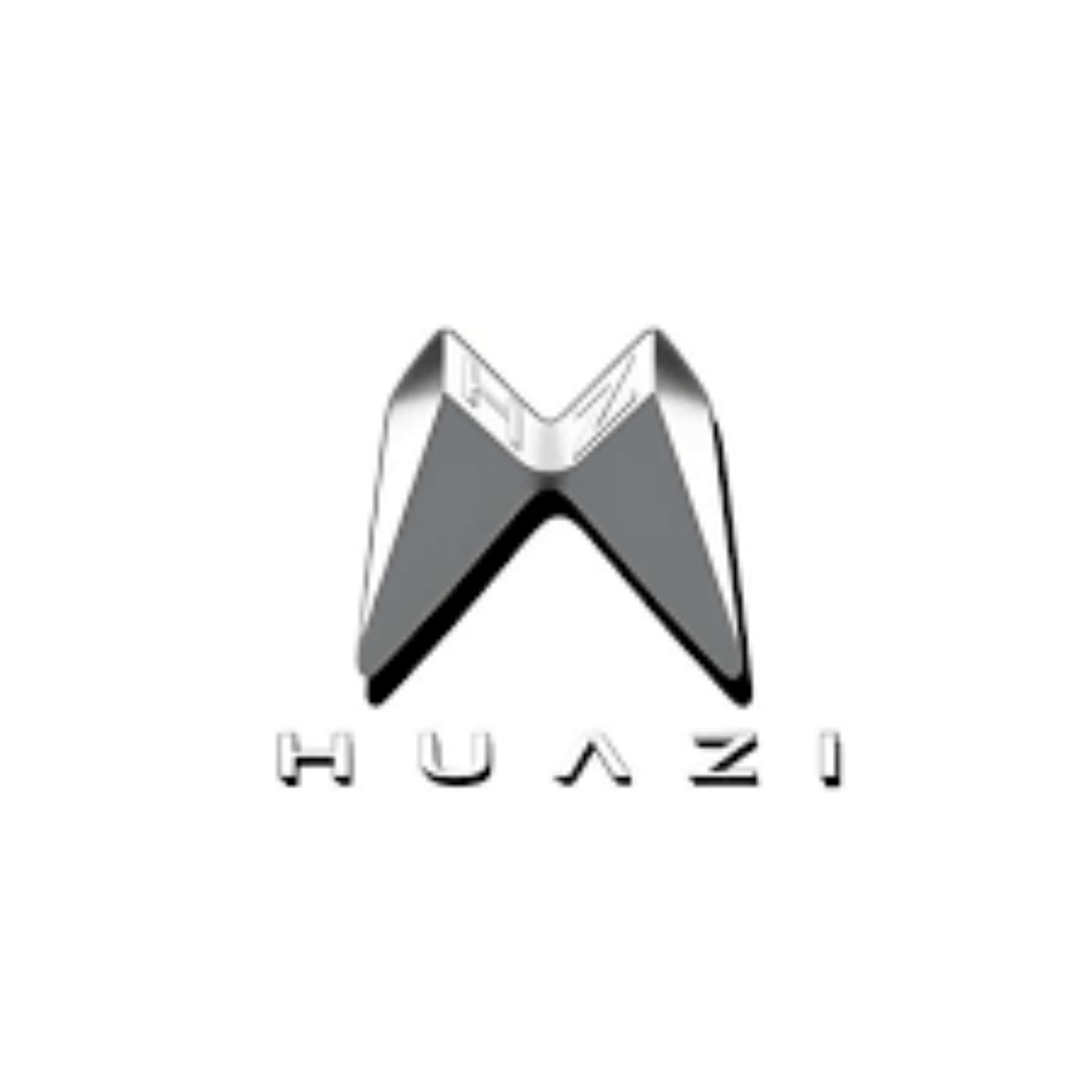 PAK-Huazi-CHINA logo