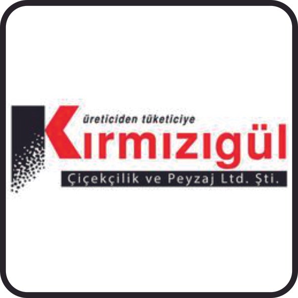 Kırmızıgül Çiçekçilik ve Peyzaj Ltd. Şti. logosu