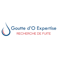 Logo Goutte d'O Expertise