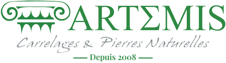 Logo ARTEMIS