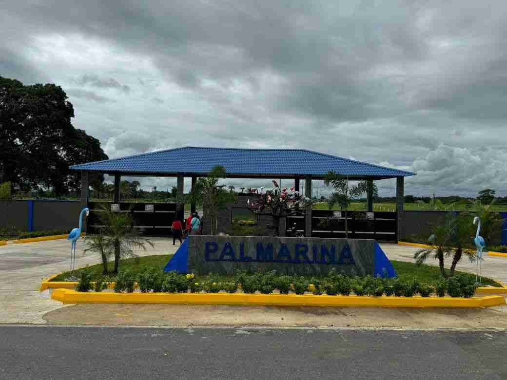 Palmarina