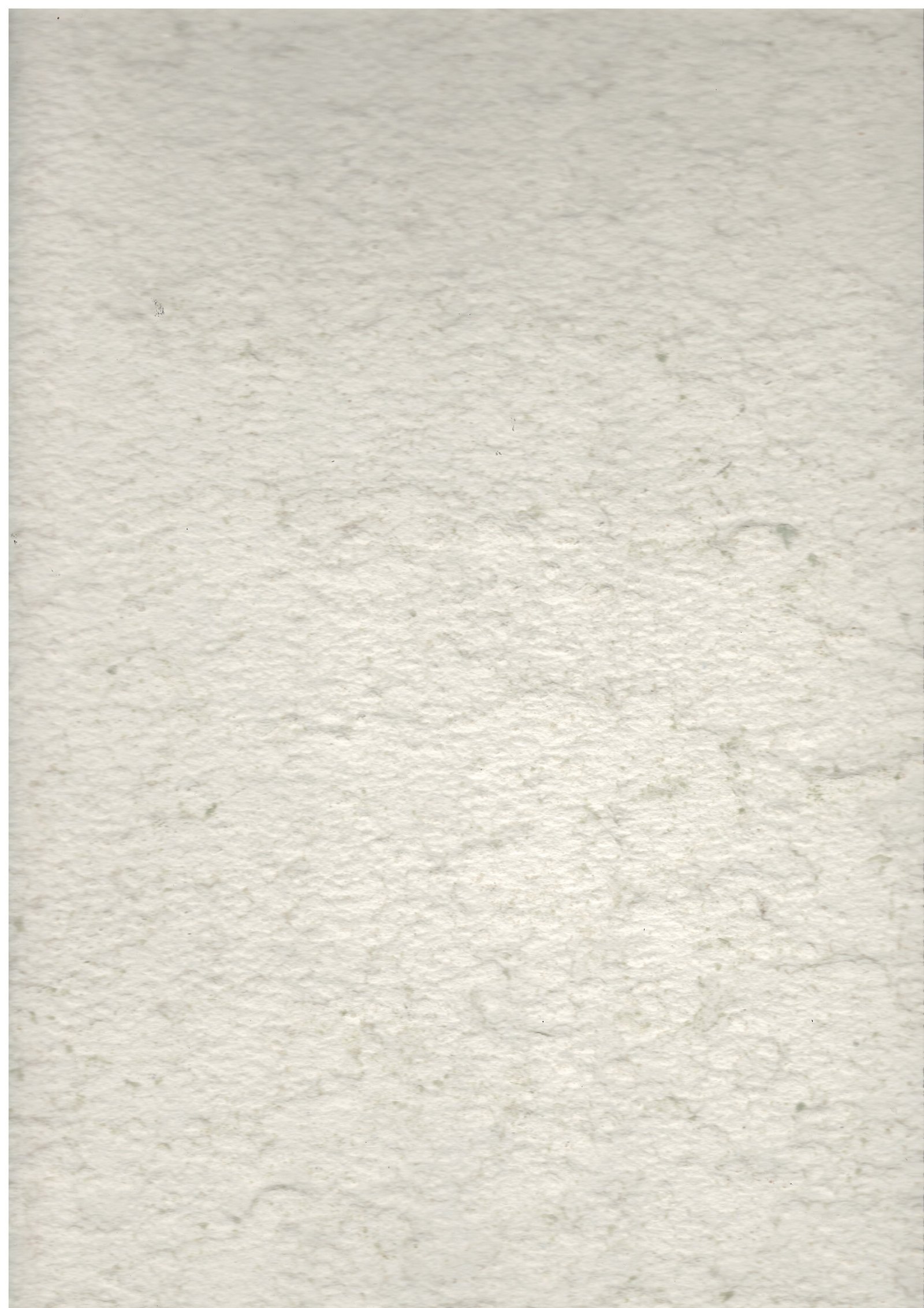 Teinte Blanc Neptune — feuille de pierre naturelle Flexi Pierre