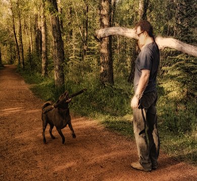 Craig with dog on a forest trail carrying a large piece of wood