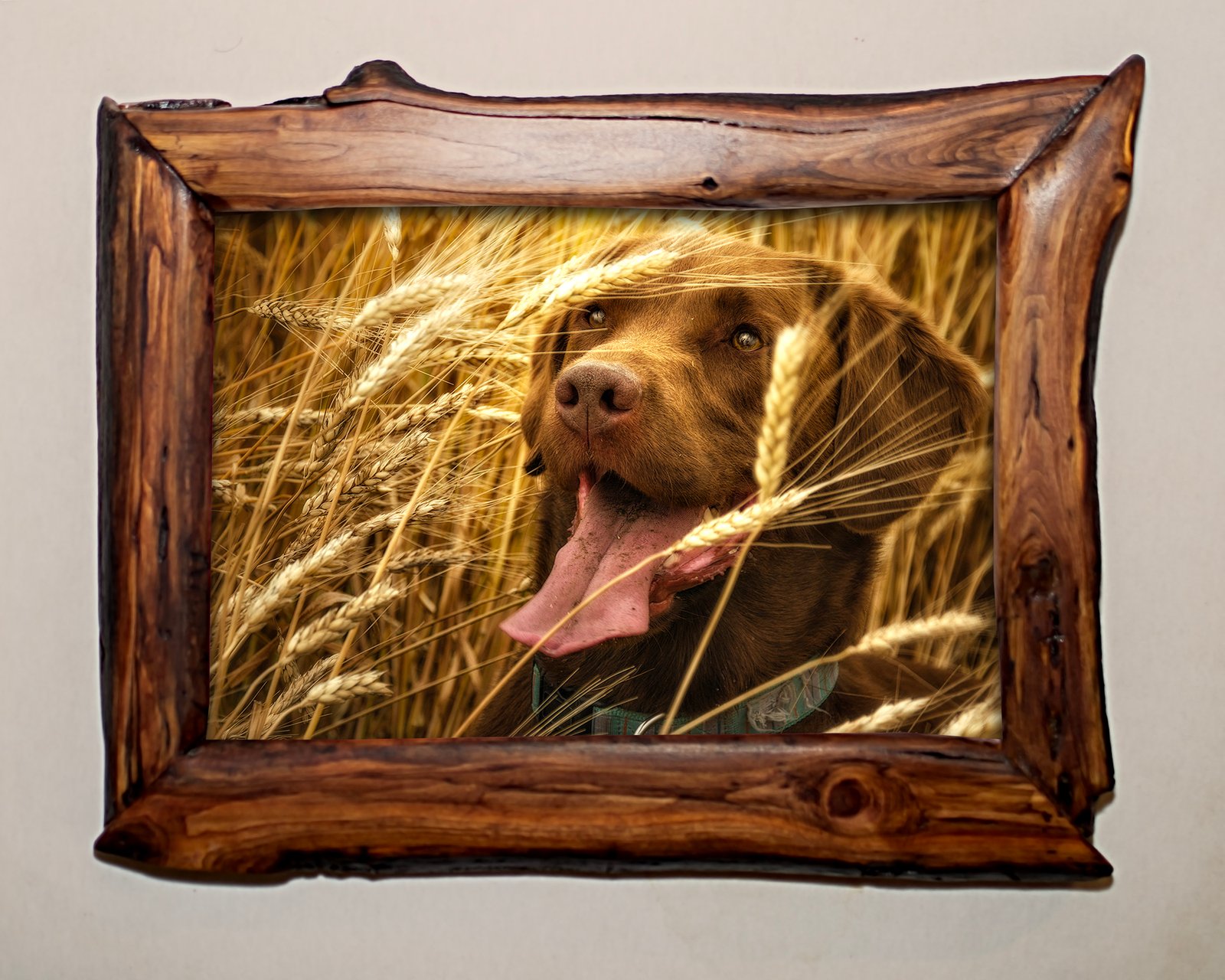 Simple poplar wood picture frame, 12x16