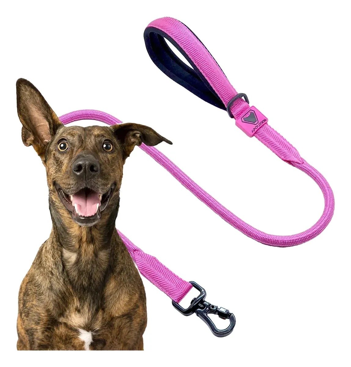 Guia Apolodog de 1,20 m para Cães, em Neoprene e Polipropileno