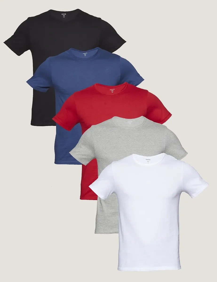 Kit com 5 Camisetas Masculinas Lisas Multicoloridas Hering
