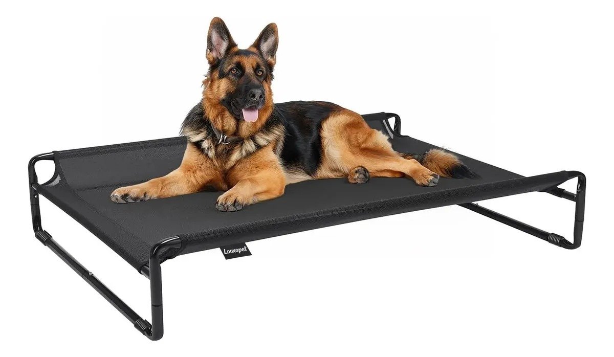 Cama Suspensa Grande para Cachorros Looxopet, Textilene preta, 120 × 82 × 24 cm