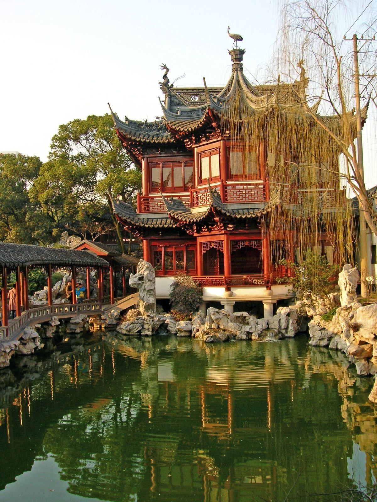 Yin Yang Balance Center