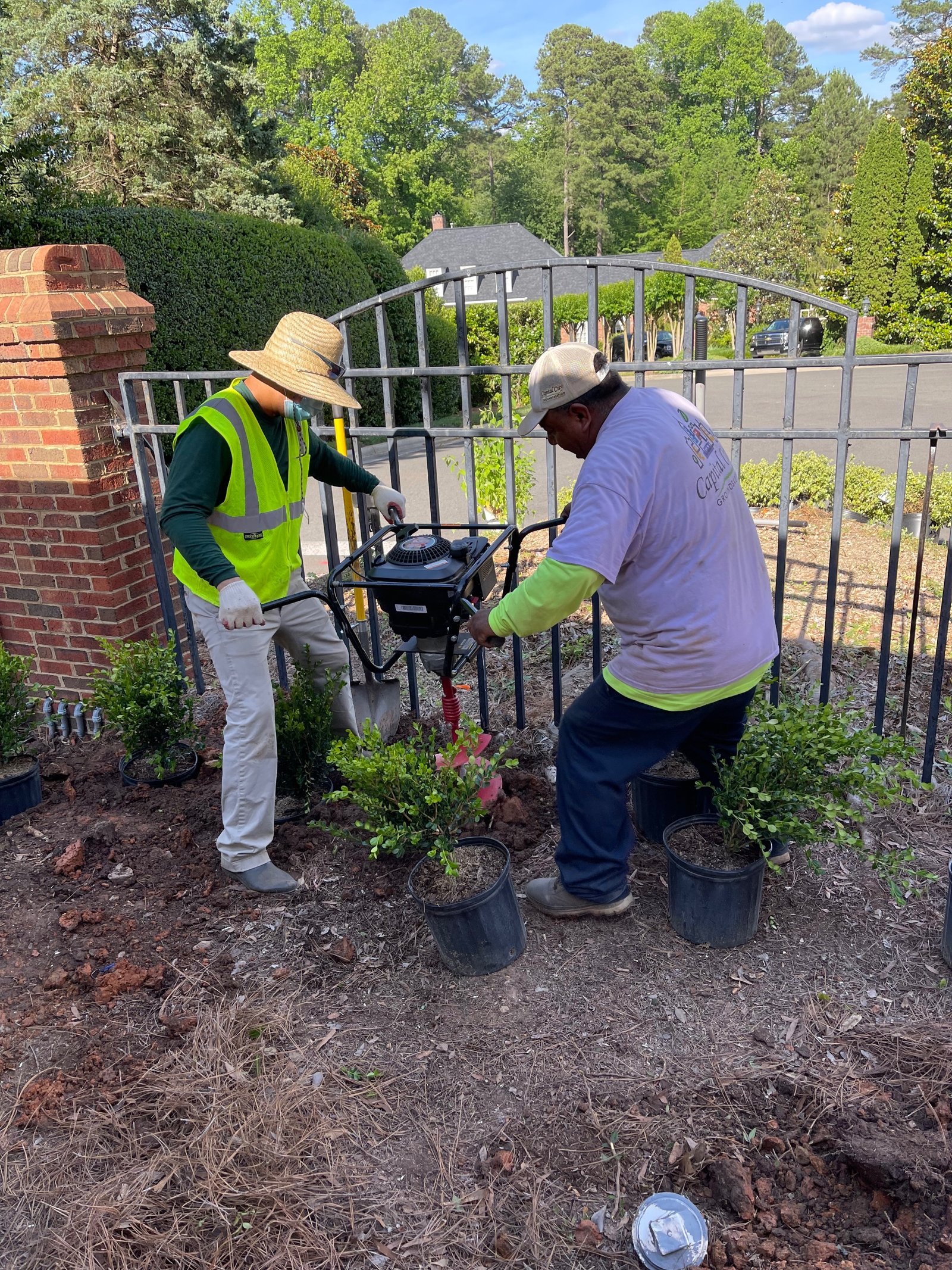Commercial landscape program showing healthy striped turf, maintained shrubs, and tidy beds at a North Carolina property