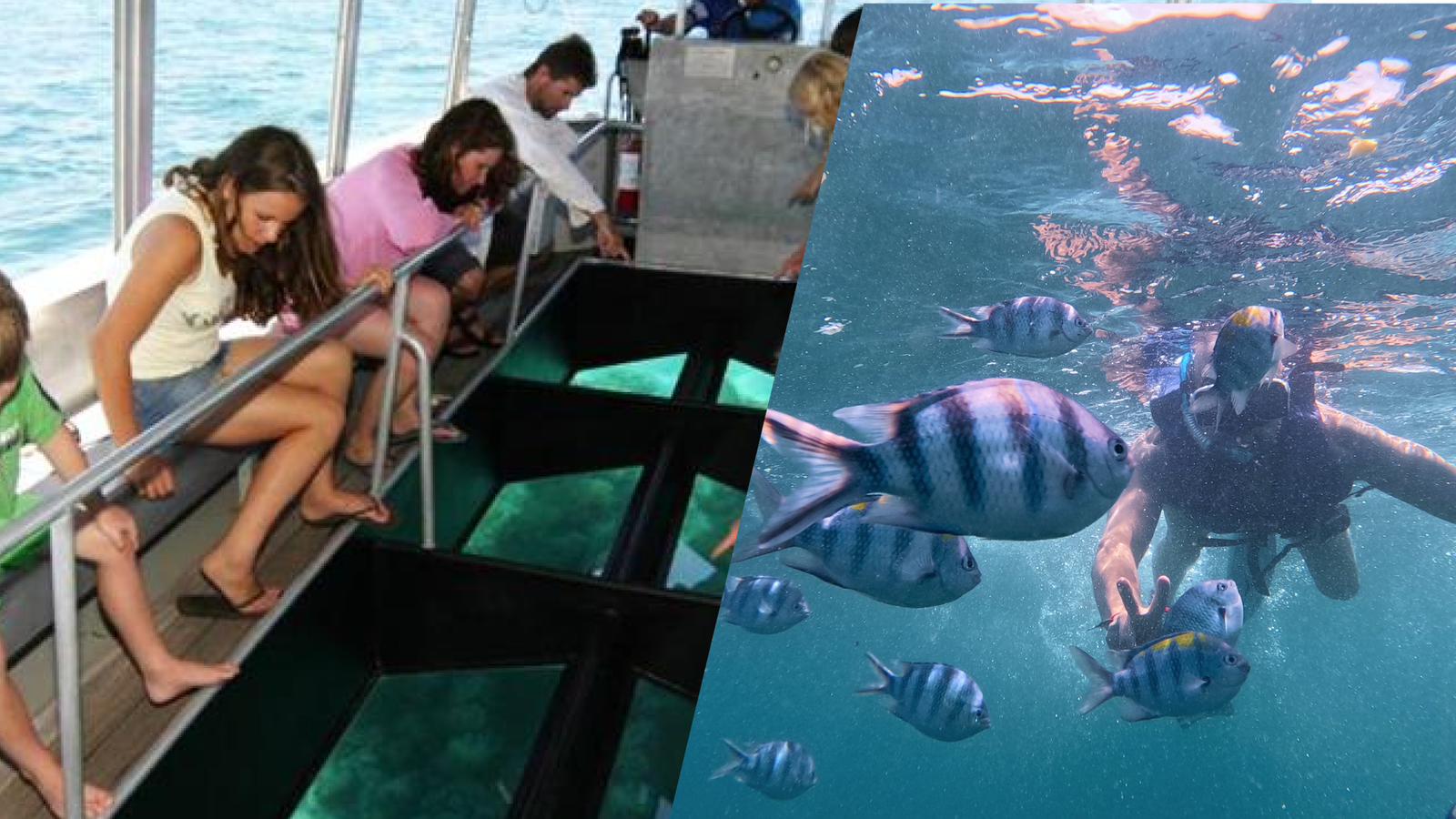 Glass Boat + Snorkling at Bali Watersports Hub, Tanjung Benoa