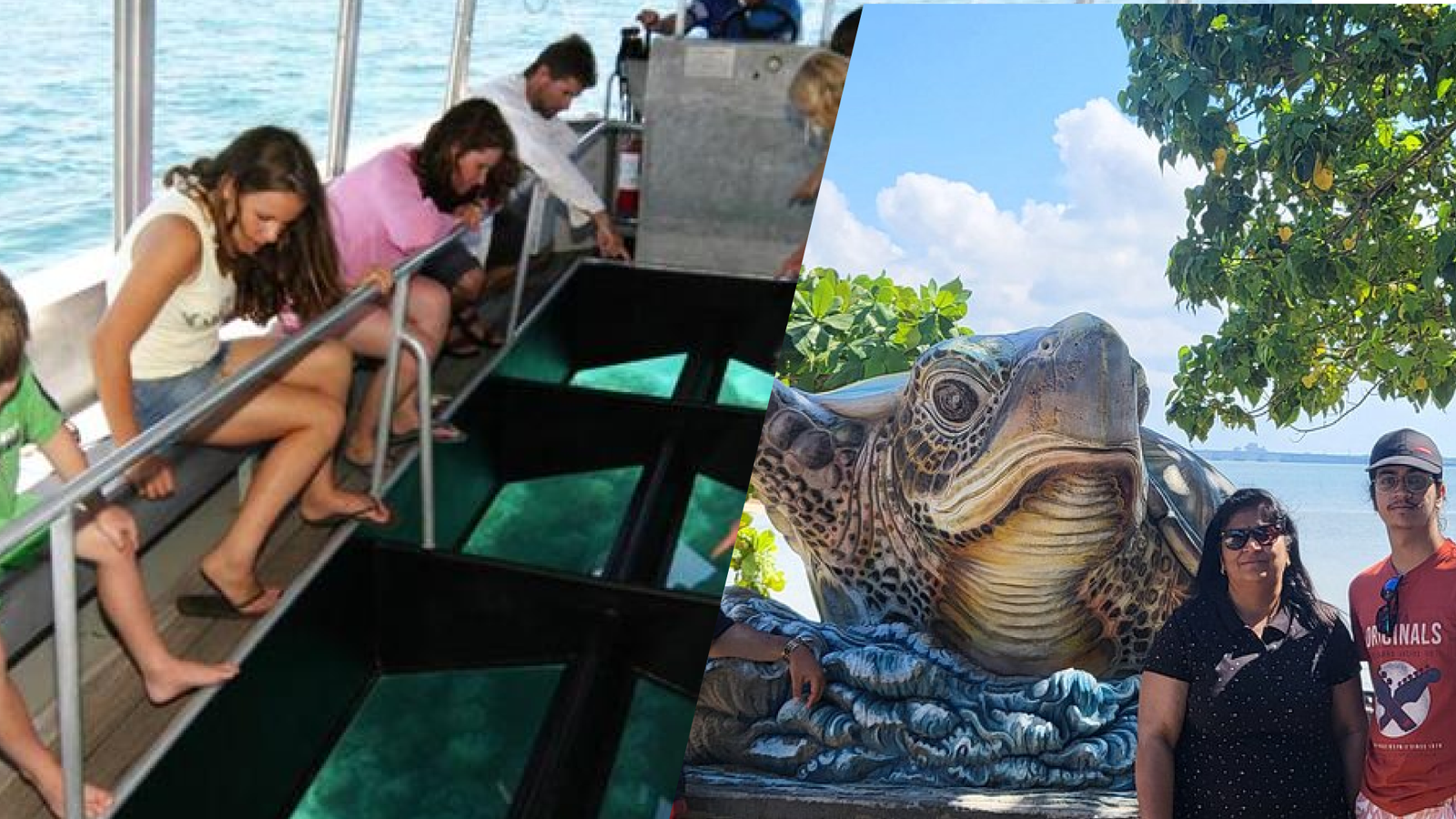 Glass Boat + Turtle Farm at Bali Watersports Hub, Tanjung Benoa