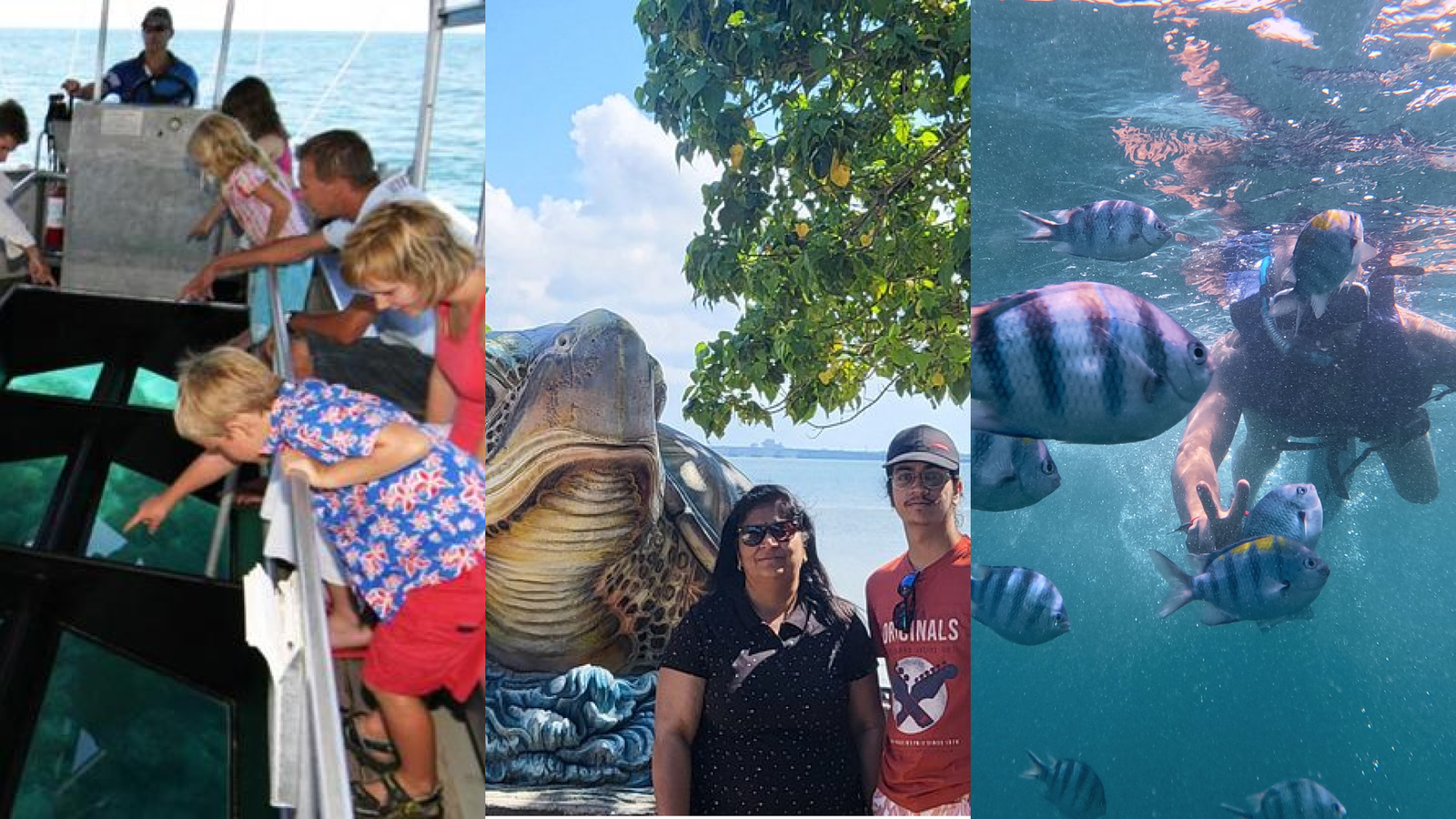 Glass Boat + Snorkling + Turtle at Bali Watersports Hub, Tanjung Benoa