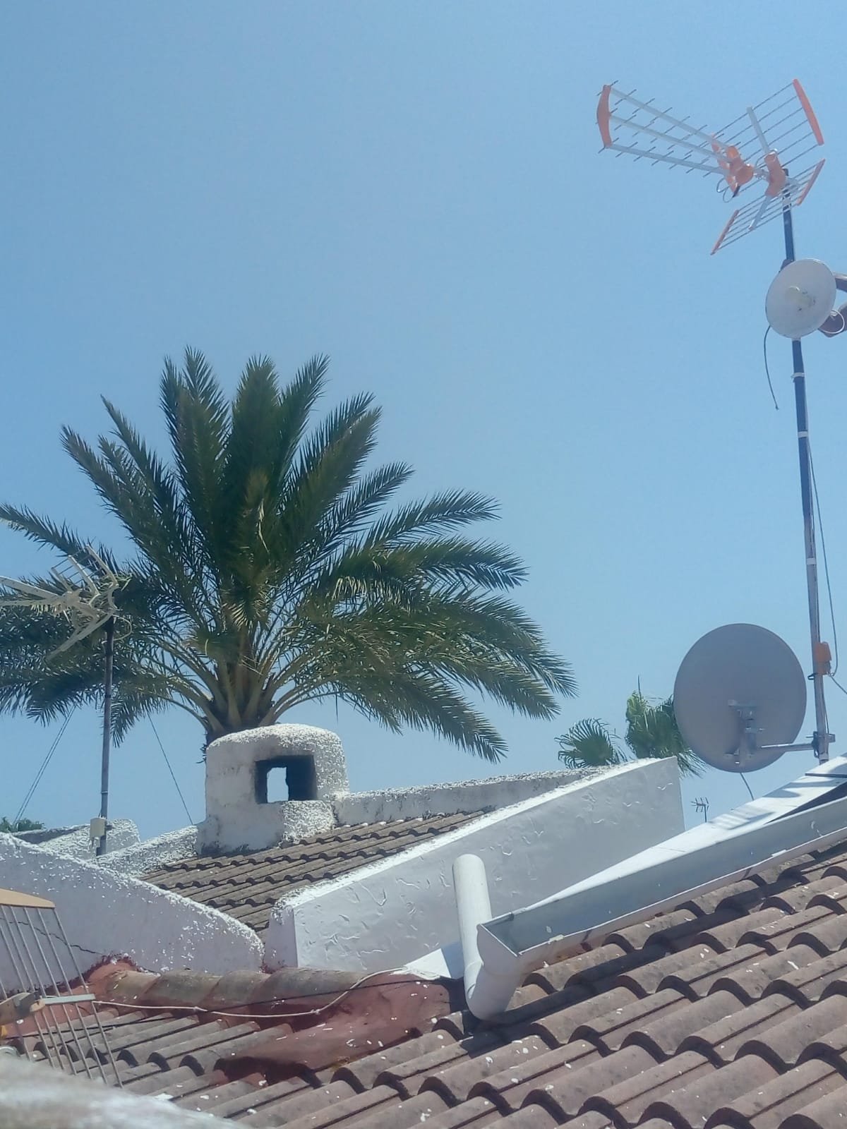 Antena TDT, parabólica y palmera en cubierta mediterránea