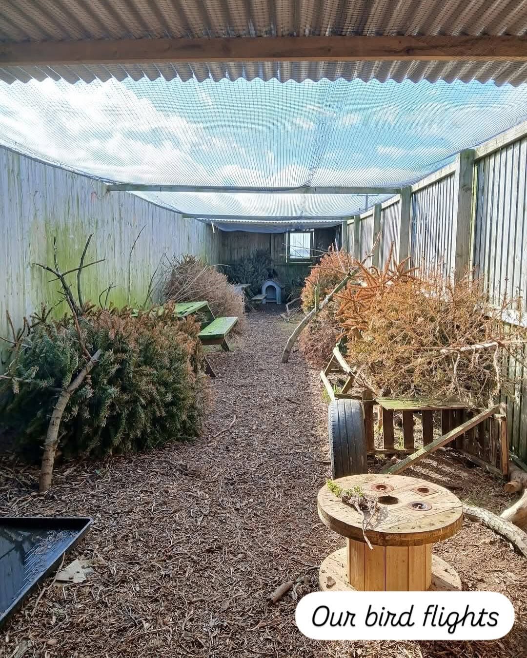 Blanco Aviary
