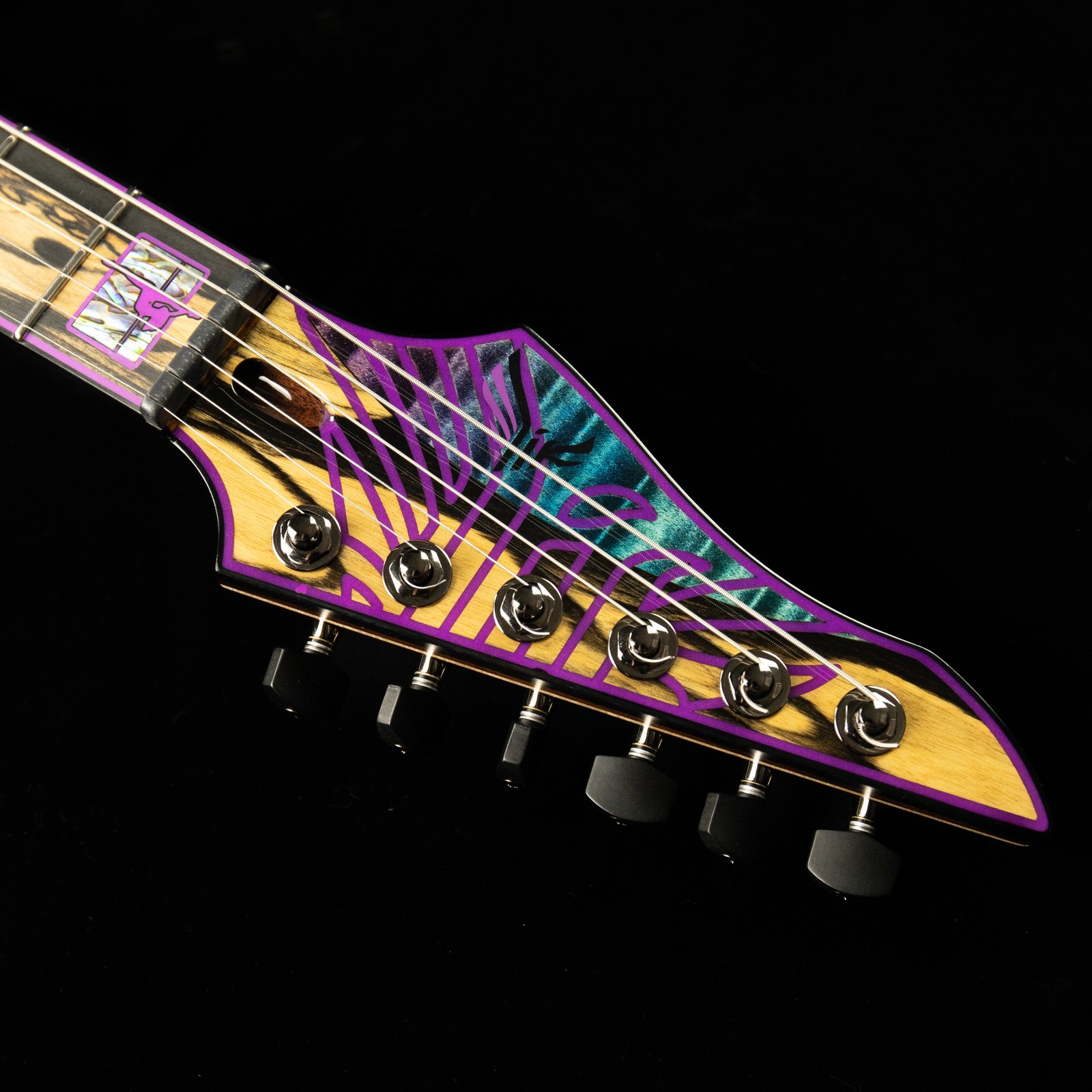 Soaring into a New Era: The Revamped ViK Guitars