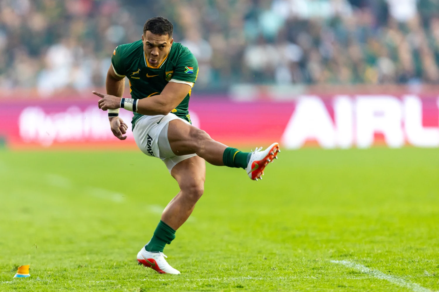 Springboks vs All Blacks Test 2 Preview