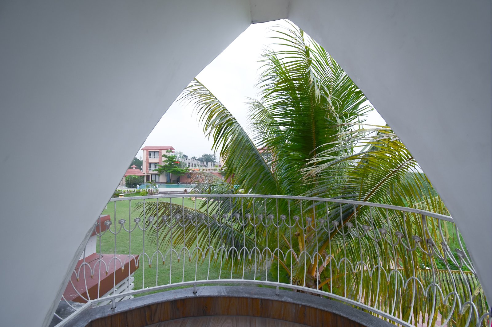 Balcony view overlooking lush palm trees and the resort pool