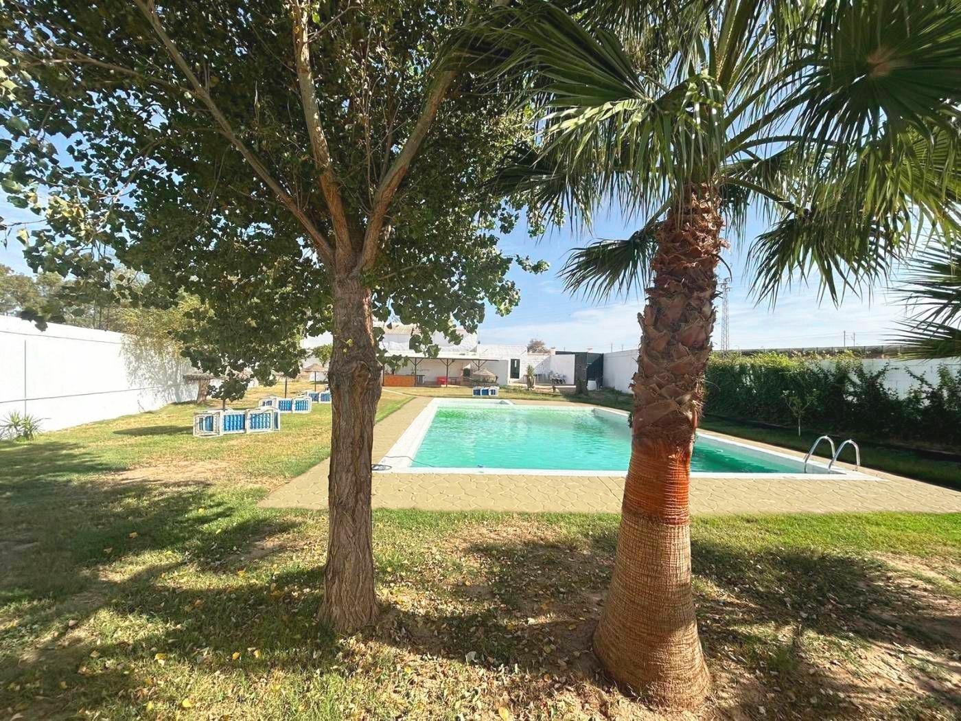 Pool among palm trees and garden trees