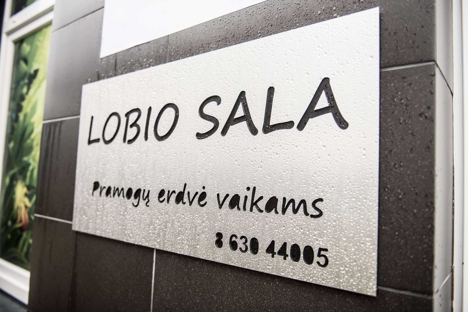 Lobio salos iškaba