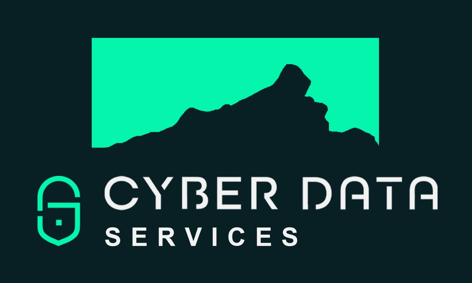 Cyber Data Services