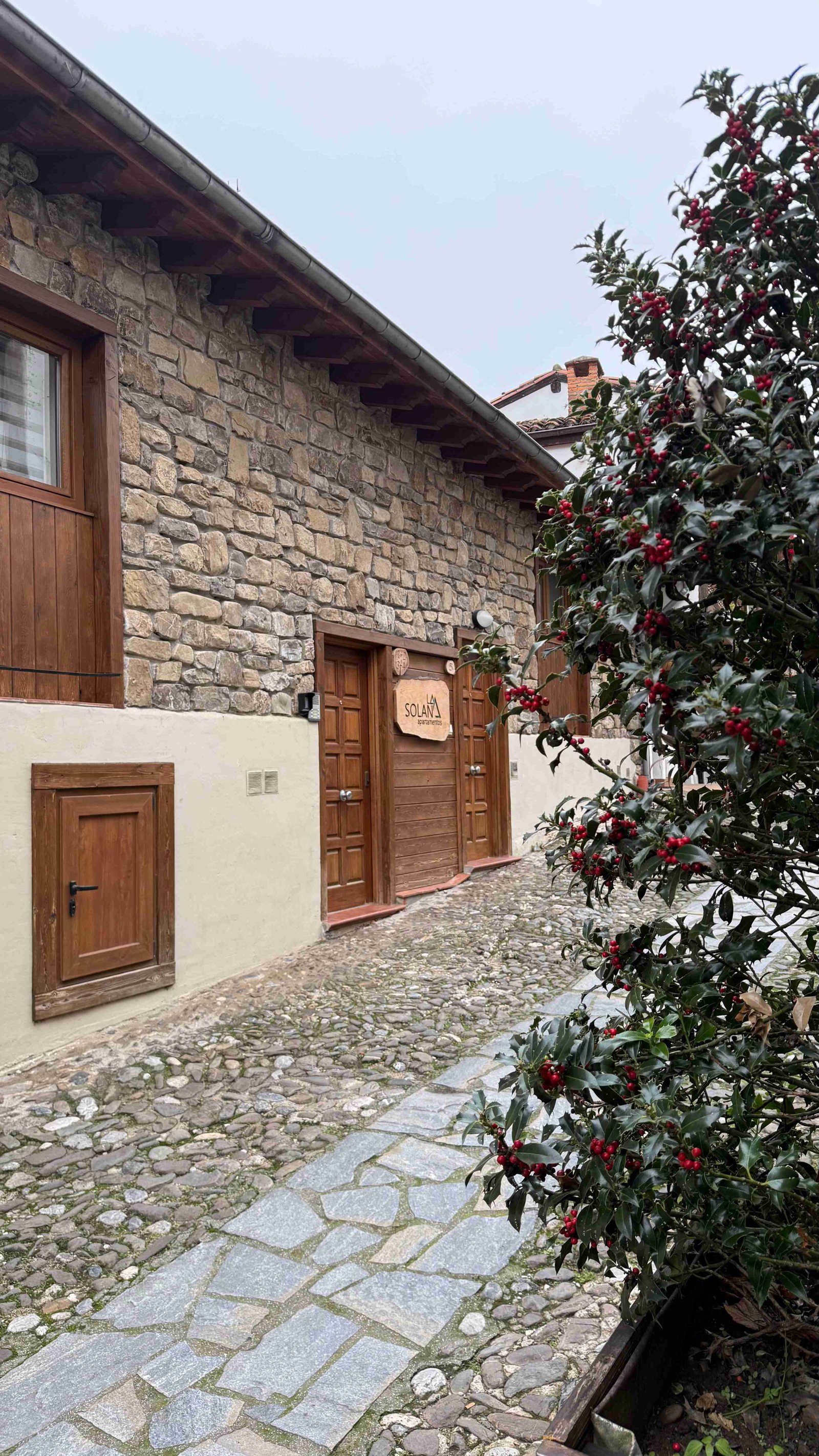 Apartamentos La Solana - Potes | Alojamiento en el corazón de Picos de  Europa