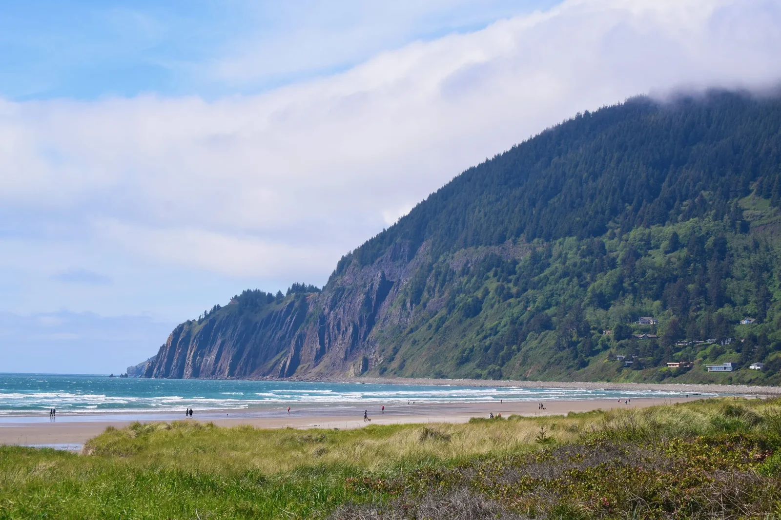 Scenic view of Manzanita