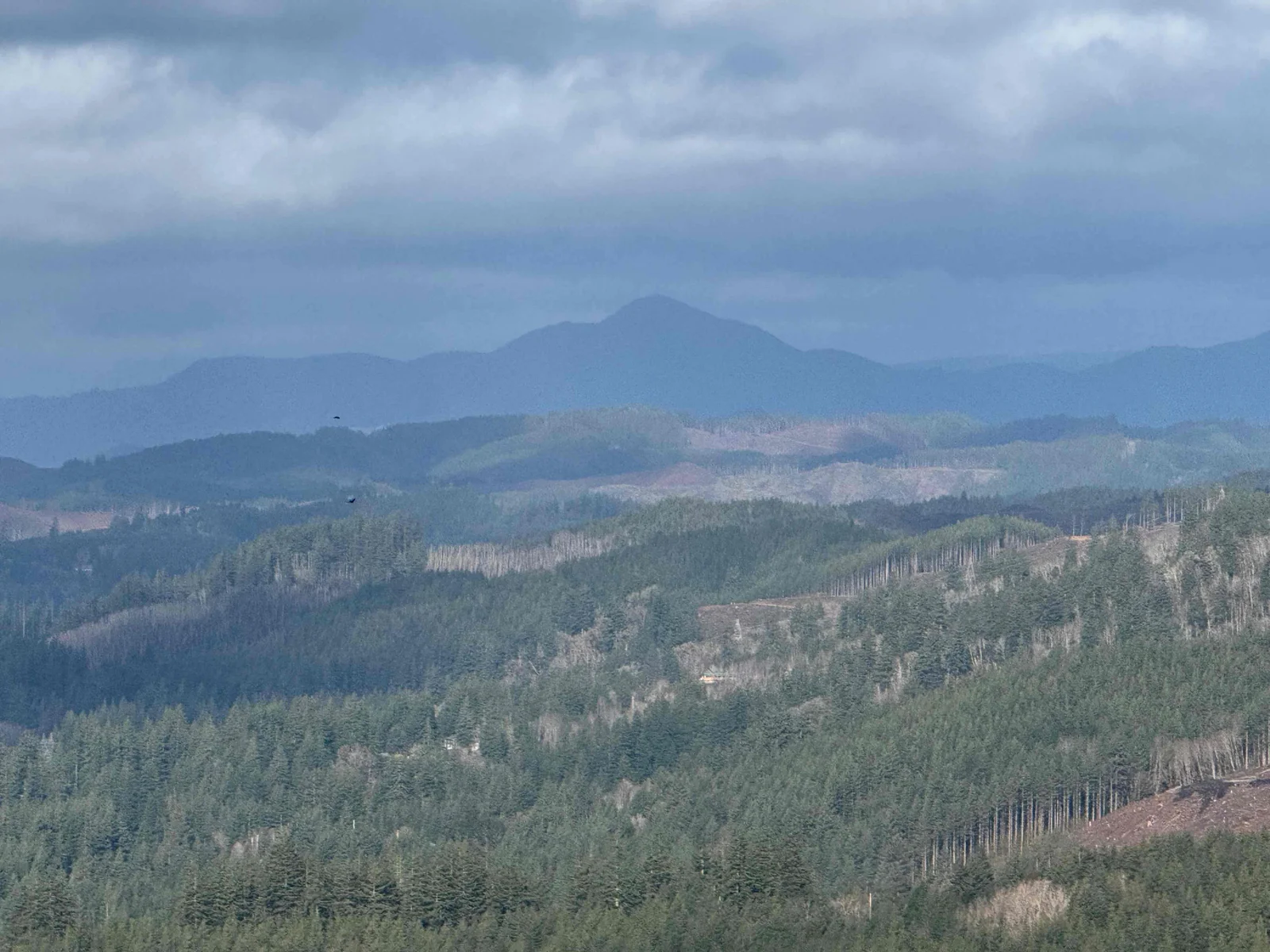 Toledo, Oregon scenic view