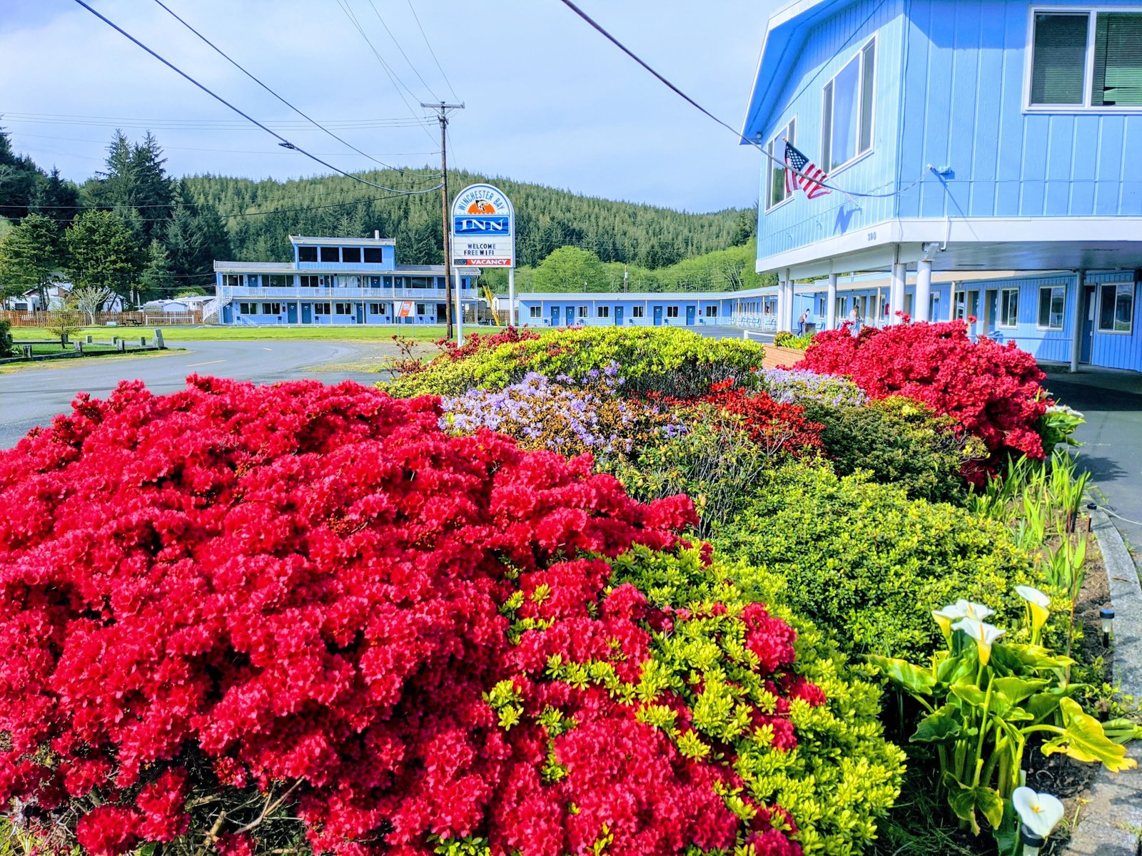 View of Winchester Bay Inn
