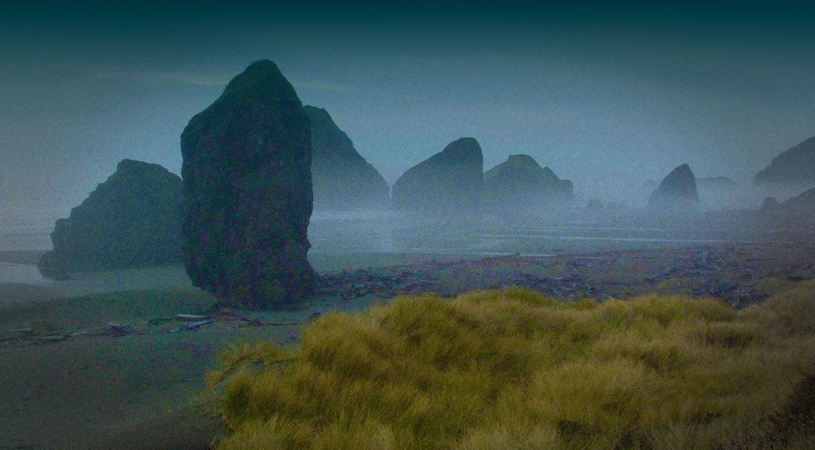 Rugged Oregon Coast shoreline landscape