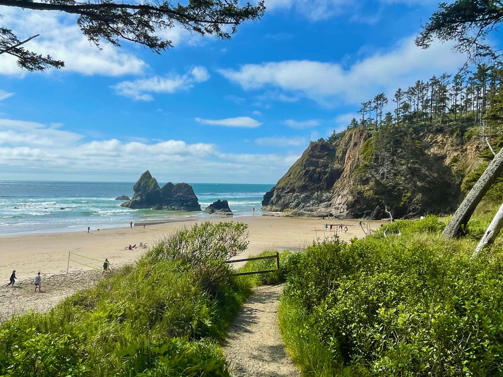 Scenic view of Arch Cape