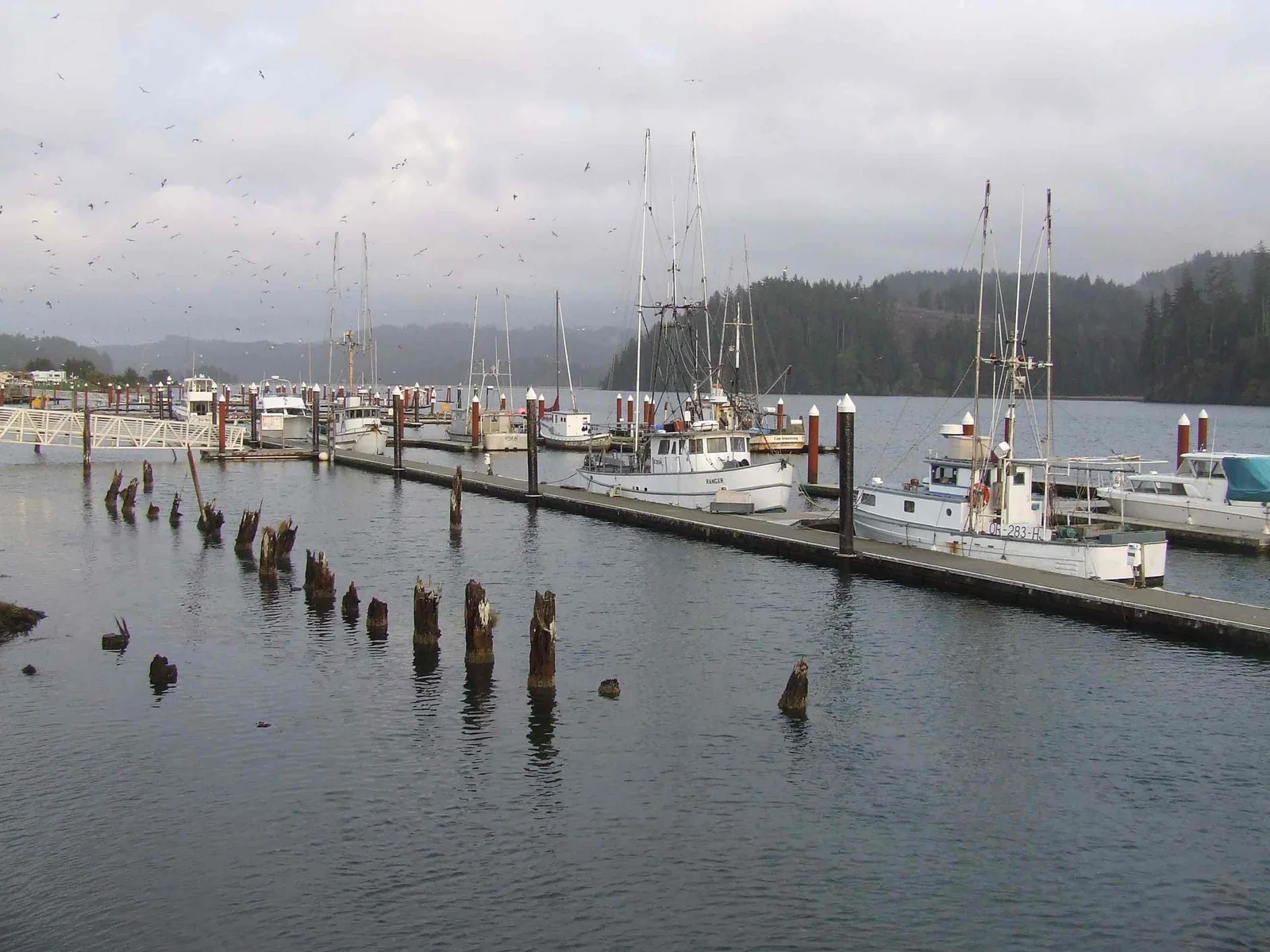 Florence, Oregon Dunes and River