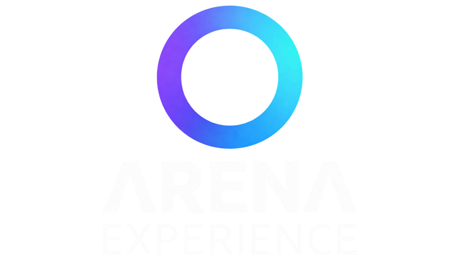 Arena Experience