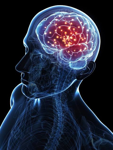 Illustration of an illuminated brain inside a translucent head, used as conceptual imagery