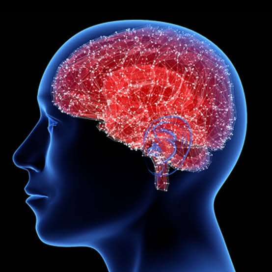 Conceptual illustration of brain connections in a human profile, not a depiction of BrainCept's action
