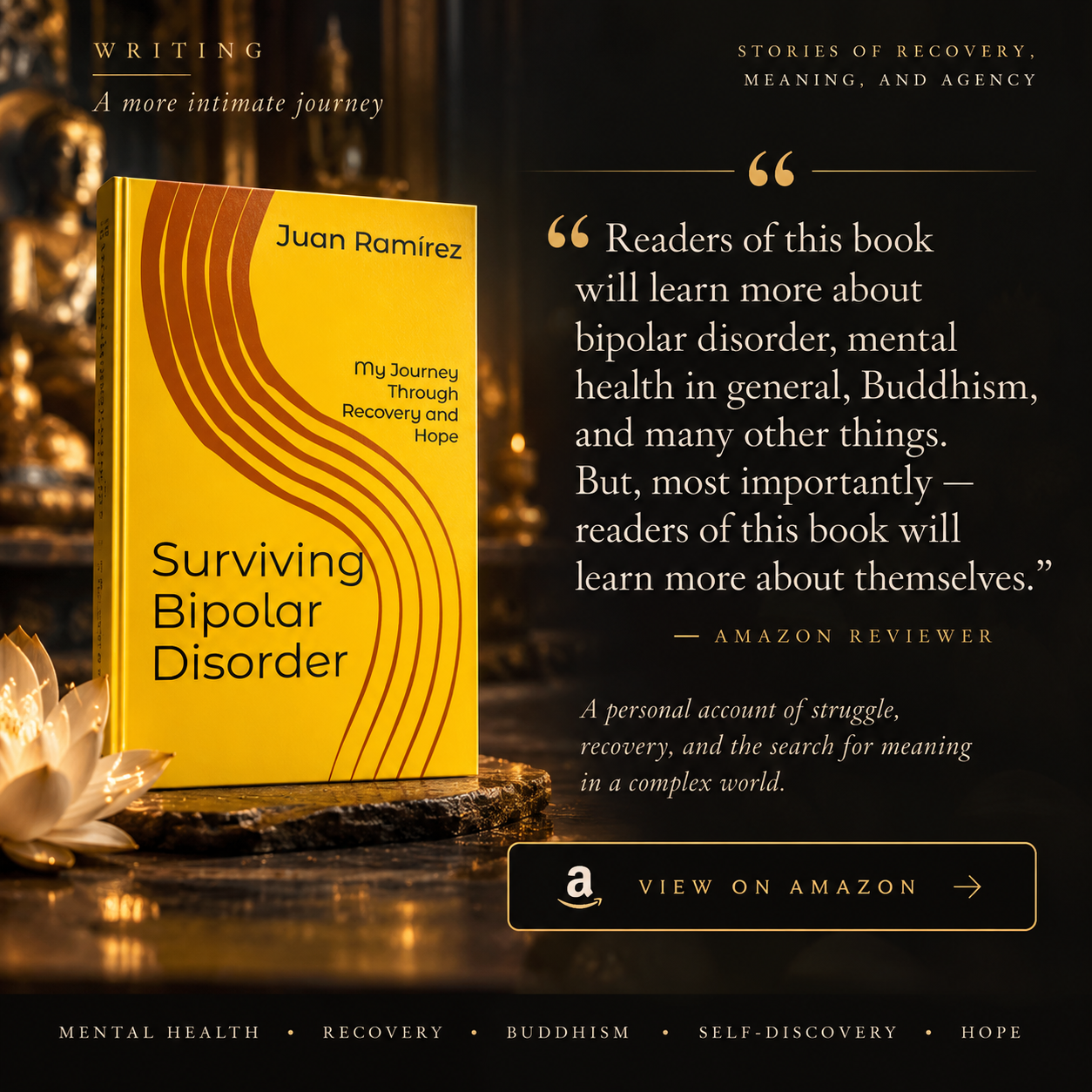 Cover of Surviving Bipolar Disorder: A Journey Through Recovery and Hope