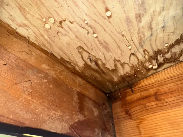 Water stains and drips on the underside of roof decking from a leak in Springfield, Ohio