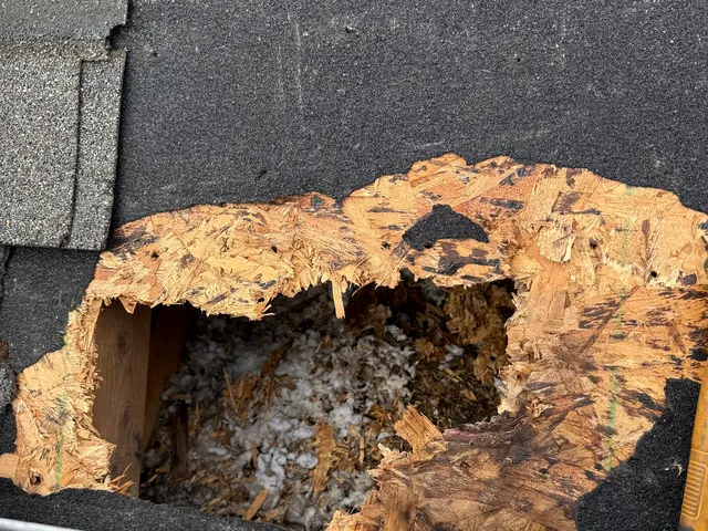 Hole rotted through roof decking, exposed during tear-off on a Dayton, Ohio roof