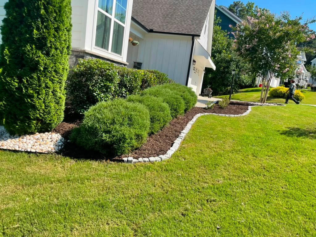 Professional landscape with mature trees and shrubs