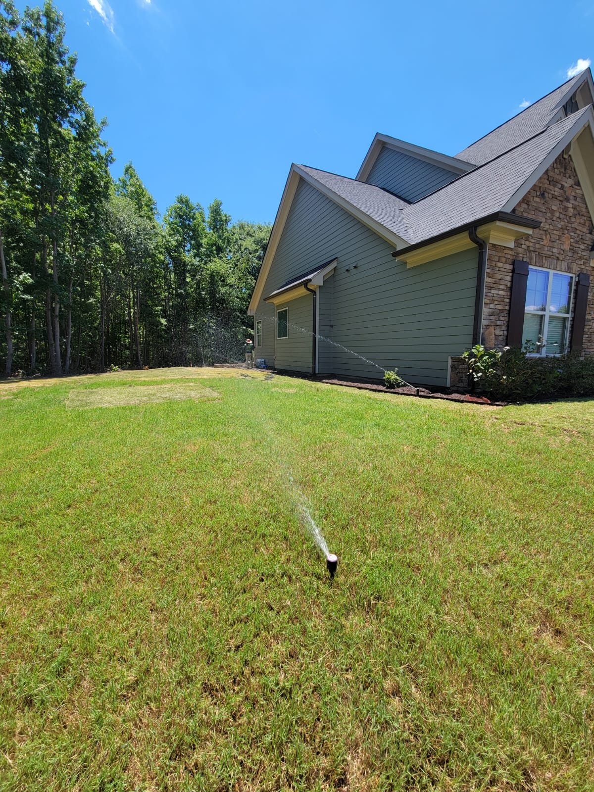Lush green lawn with mature landscaping