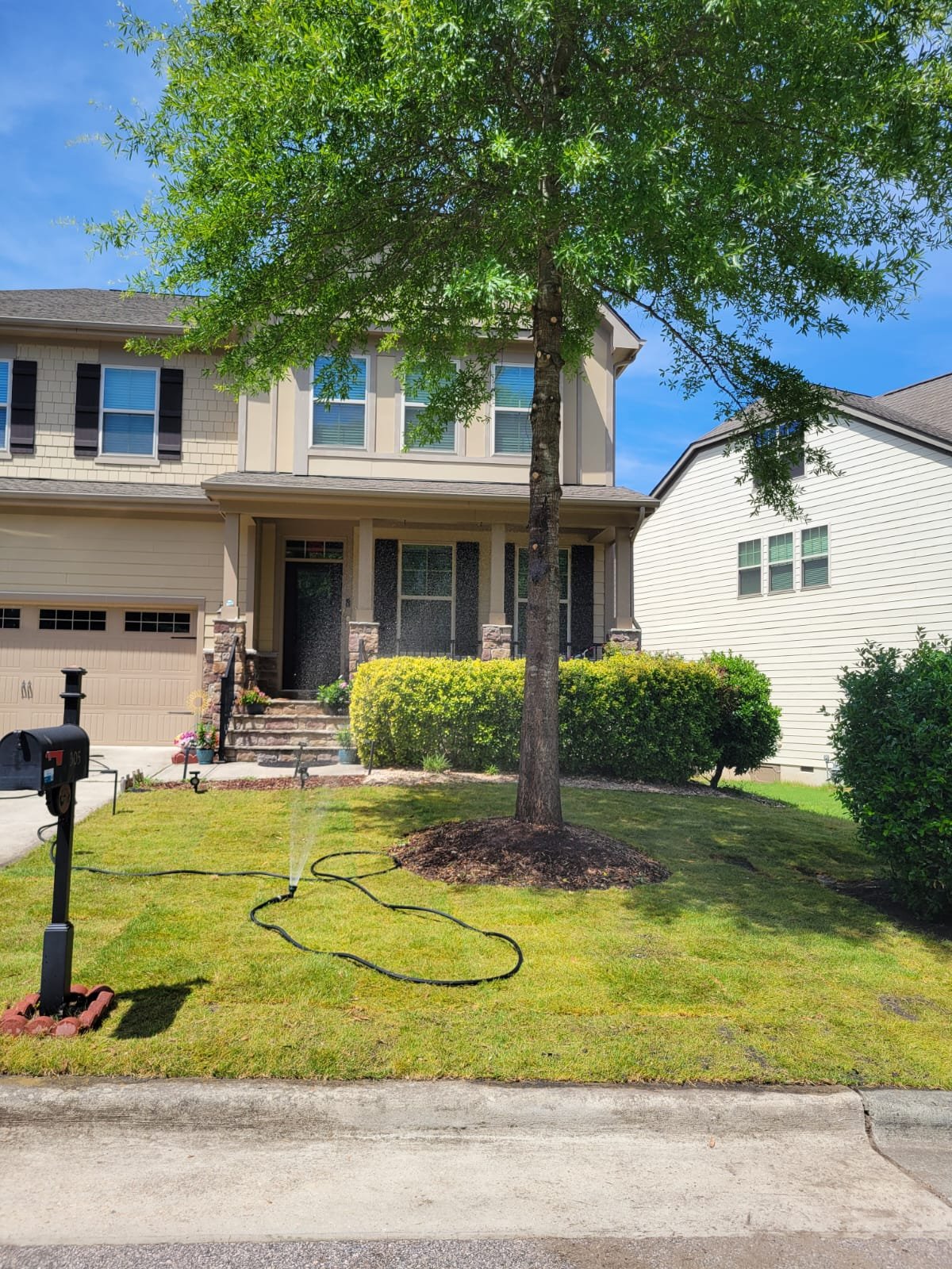 Completed residential lawn with shade trees