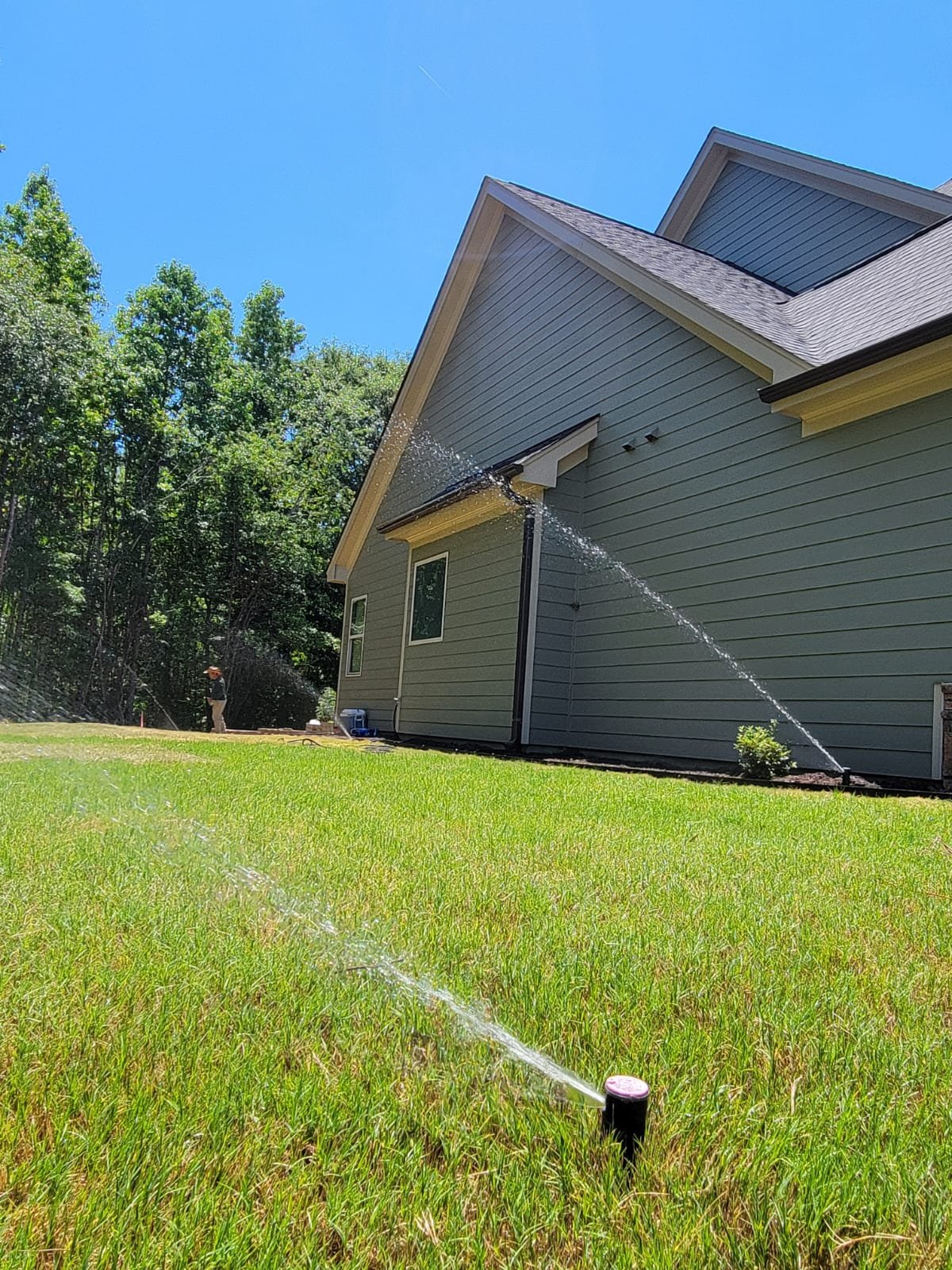 Fresh sod installation with irrigation system