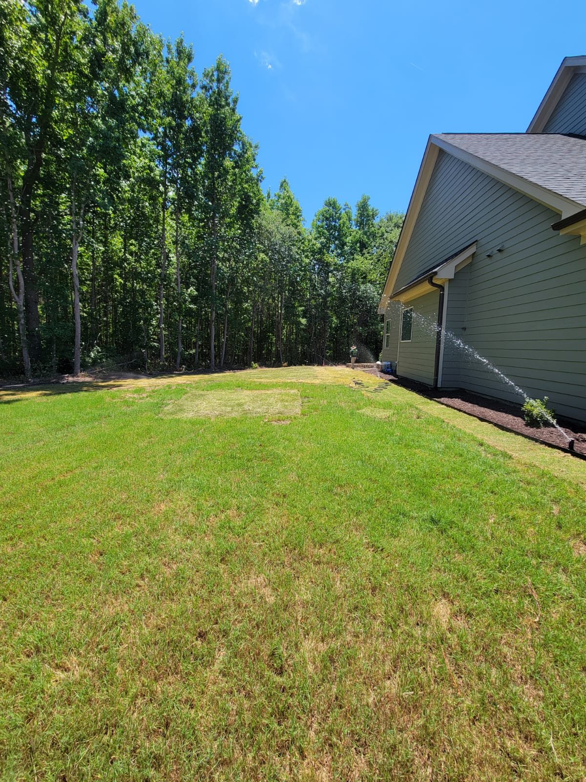 Professional sod installation with mulch beds