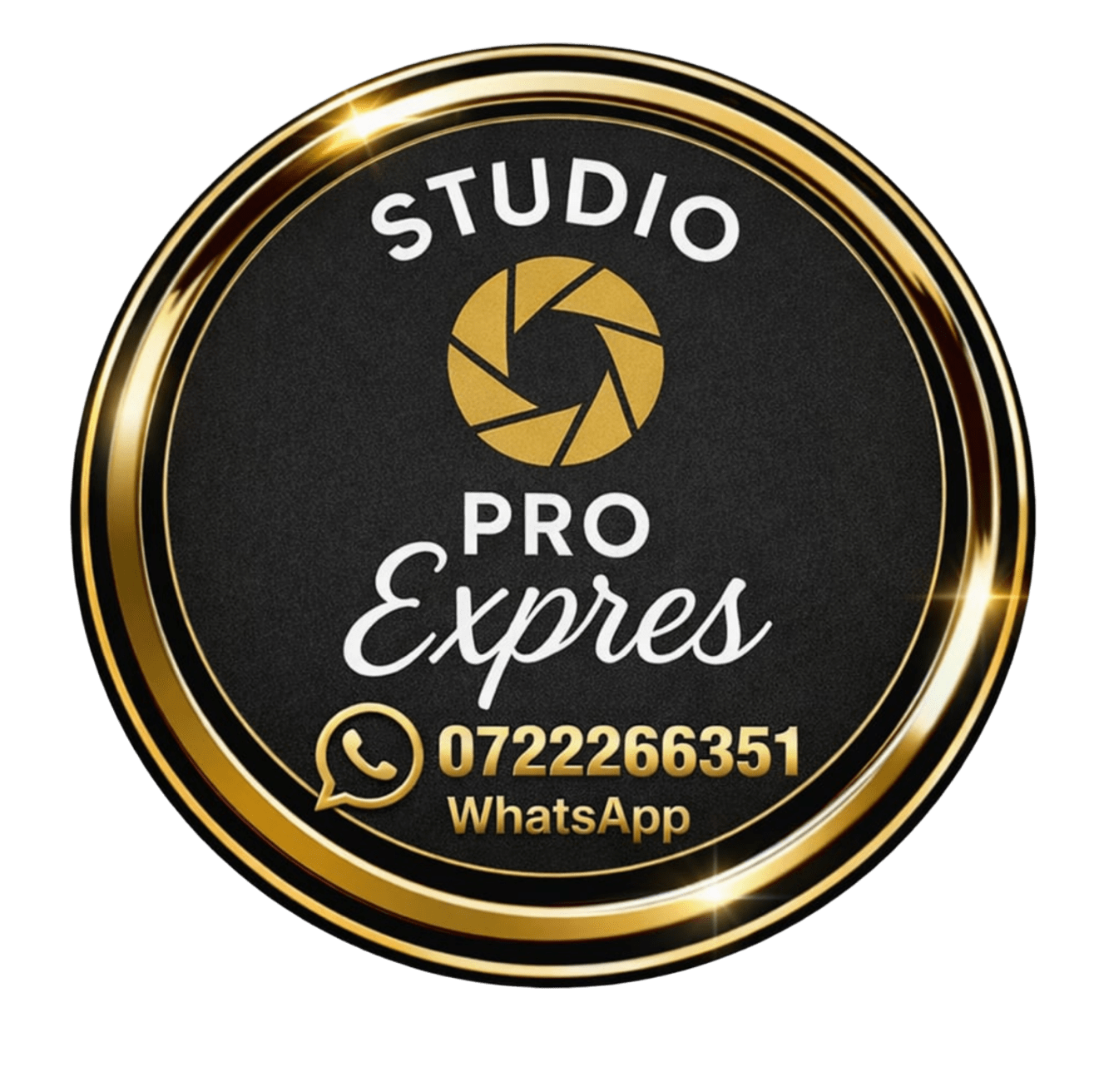 Pro Expres Group Logo