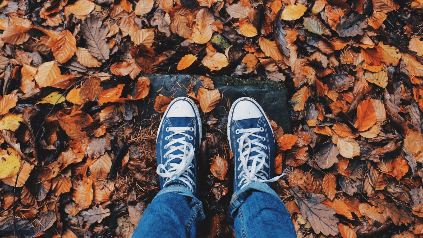 Person's feet in blue sneakers standing on autumn leaves