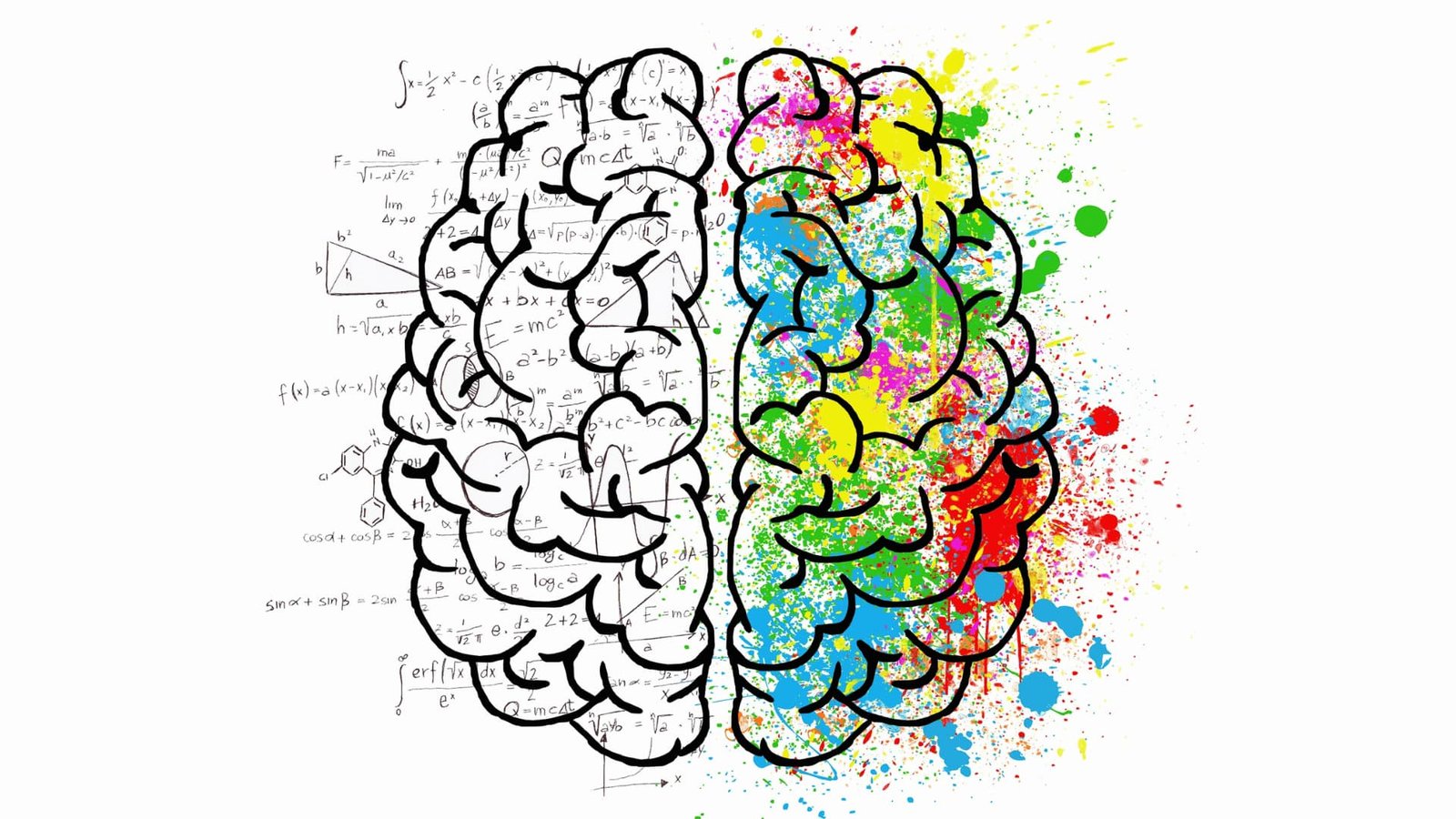 Brain illustration split between logical left side and creative right side