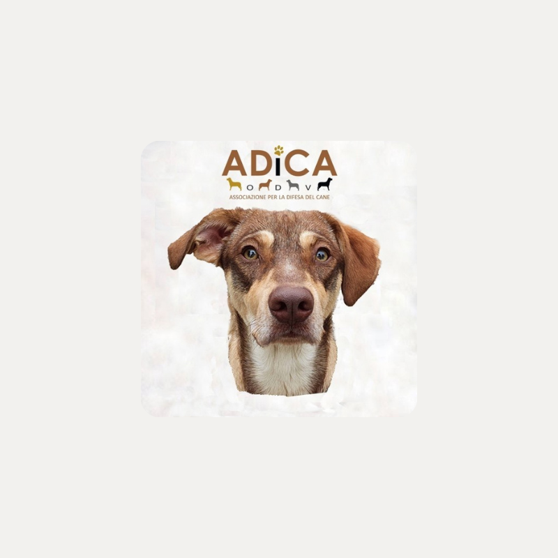 ADICA - Associazione