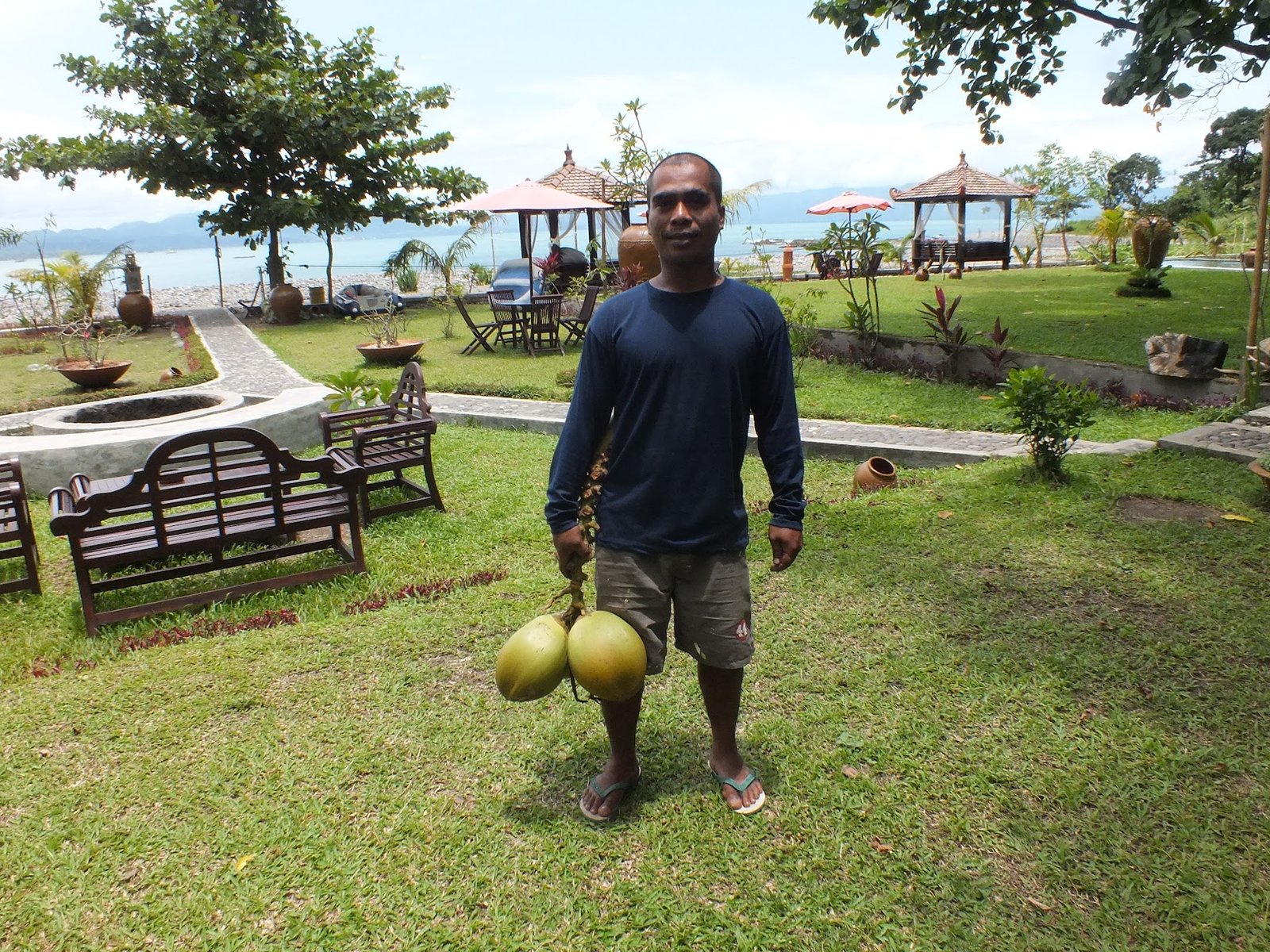Staf Ketapang Resort memegang kelapa segar di taman tepi laut dengan gazebo dan pemandangan Teluk Pelabuhan Ratu