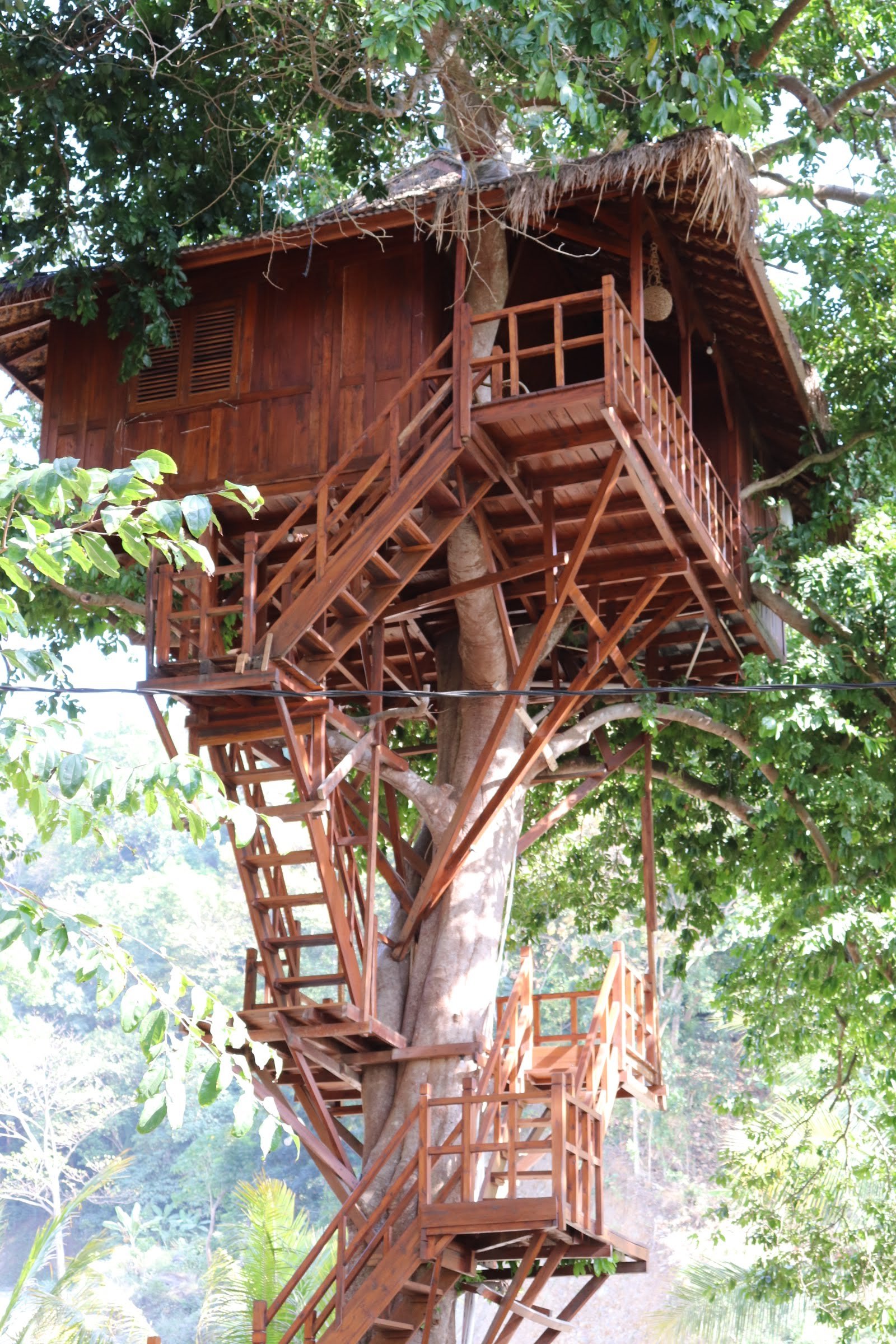 Rumah Pohon